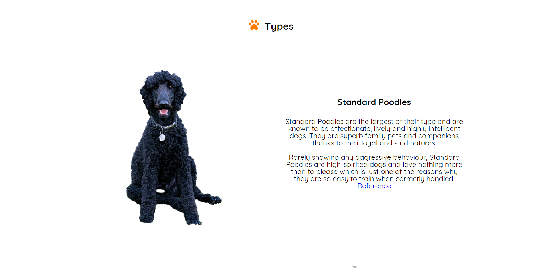 Poodle Image 3